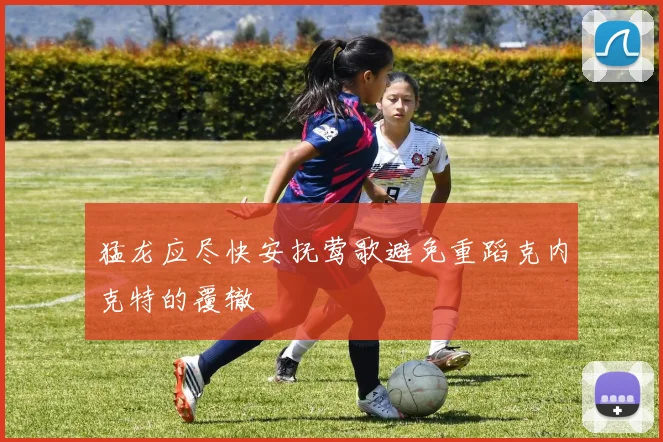 猛龙应尽快安抚莺歌避免重蹈克内克特的覆辙